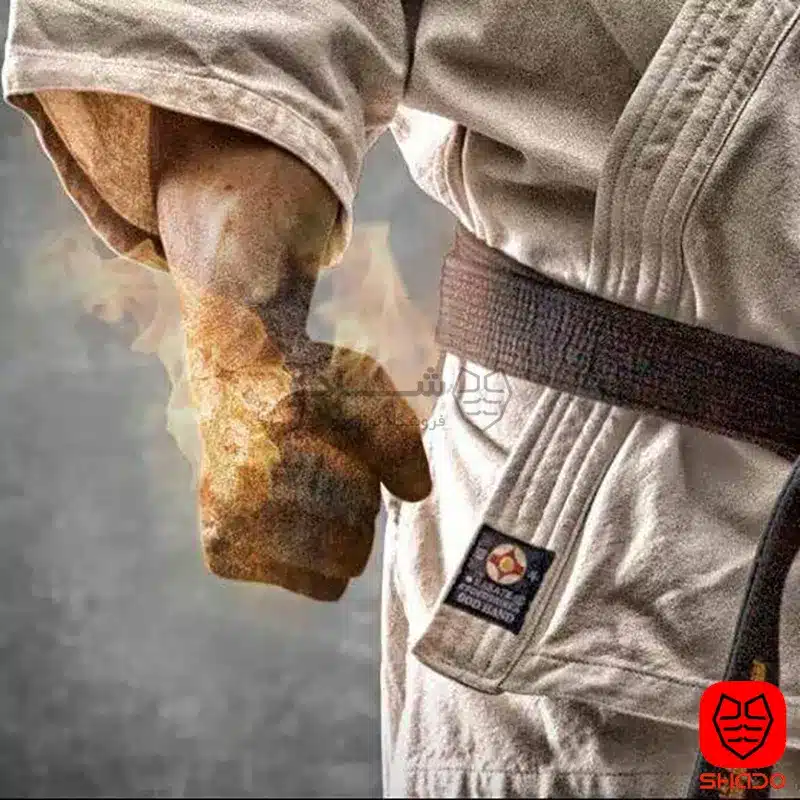 کیوکوشین کاراته